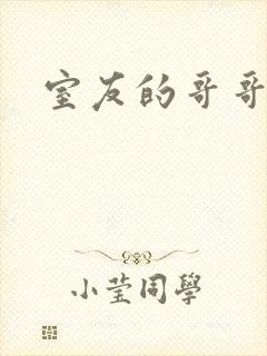 室友的哥哥封面