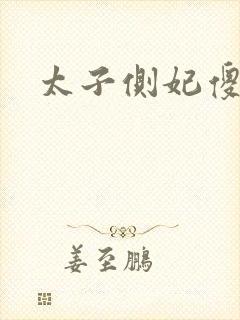 太子侧妃傻乎乎封面