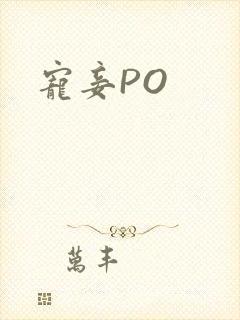 宠妾PO封面