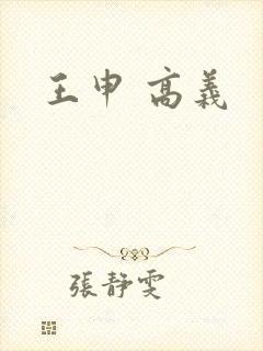 王申 高义