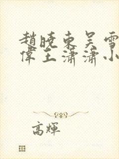 赵晓东吴雪晴郑伟王潇潇小说封面