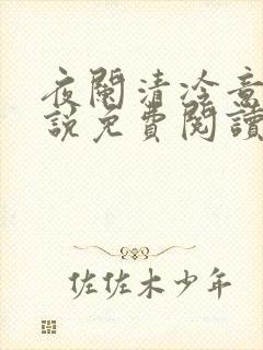 夜阑清冷意欢小说免费阅读