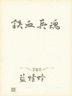 铁血兵魂封面