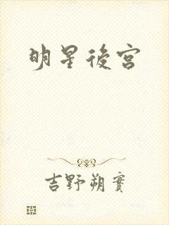 明星后宫