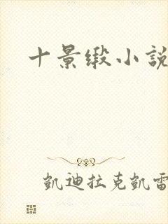 十景缎小说
