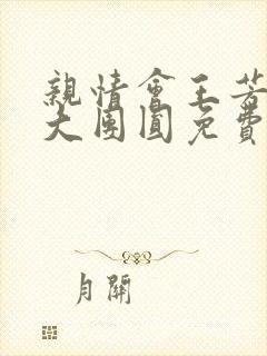 亲情会王芳高敏大团圆免费阅读