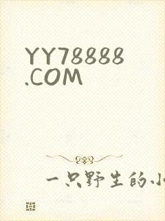 YY78888.COM