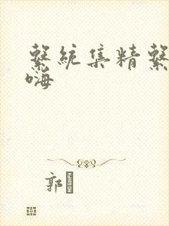 系统集精系统高嗨