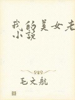 我的美女老板 小说封面