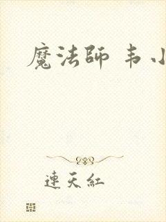 魔法师 韦小宝封面