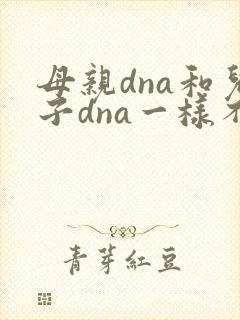 母亲dna和儿子dna一样不