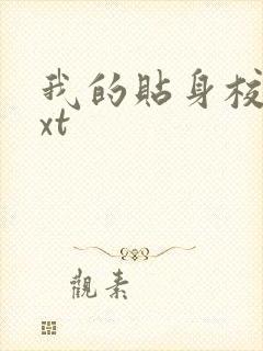 我的贴身校花txt