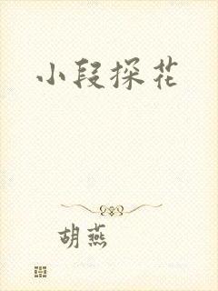 小段探花封面
