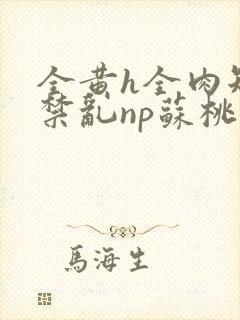 全黄h全肉短篇禁乱np苏桃