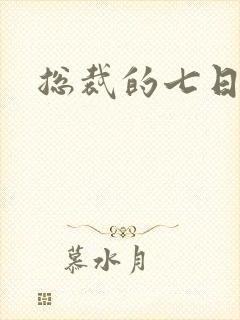总裁的七日恋人封面
