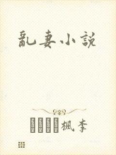乱妻小说封面