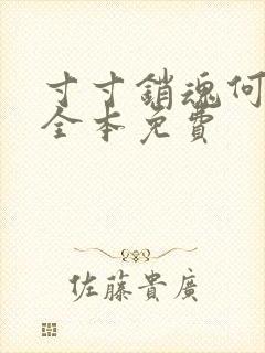 寸寸销魂何生祥全本免费
