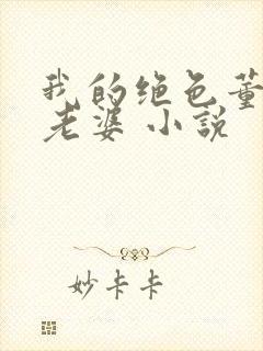 我的绝色董事长老婆 小说