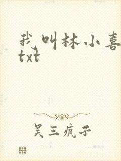 我叫林小喜小说txt
