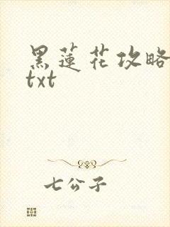 黑莲花攻略手册txt
