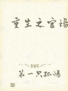 重生之官场风流