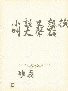 小说又想挨C了叫大声点