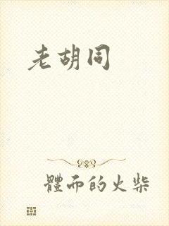 老胡同