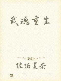 武魂重生封面