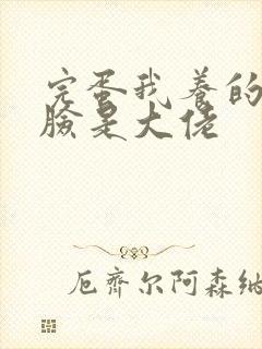 完蛋我养的小白脸是大佬
