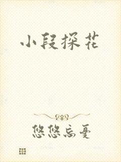 小段探花封面