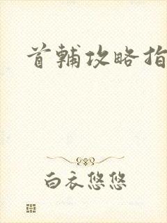 首辅攻略指南
