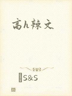 高h辣文
