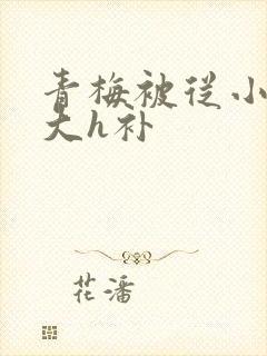 青梅被从小摸到大h补