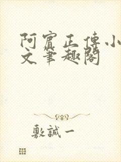 阿宾正传小说全文笔趣阁