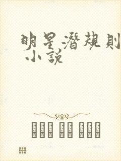 明星潜规则之皇 小说