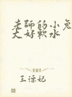 老师的小兔子好大好软水