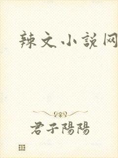 辣文小说网
