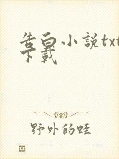 告白小说txt下载