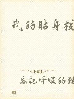 我的贴身校花