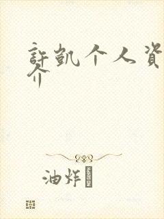 许凯个人资料简介
