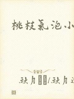 桃枝气泡小说