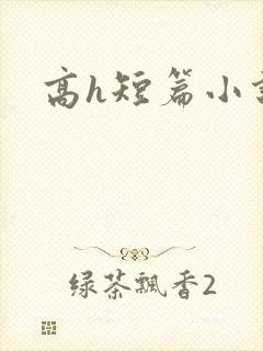 高h短篇小说
