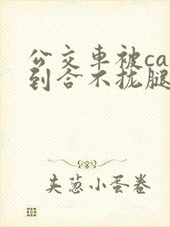 公交车被cao到合不拢腿视频