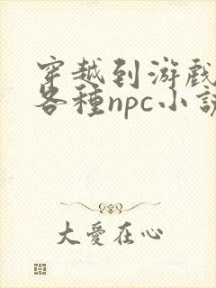 穿越到游戏里和各种npc小说