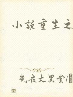 小说重生之官道