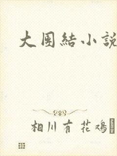 大团结小说全文