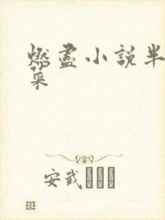 燃尽小说半截白菜