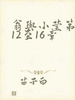 翁与小莹第十部12至16章