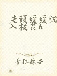 老头缓缓沉腰进入校花h