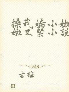 搡我娇小嫩苞又嫩又紧小说
